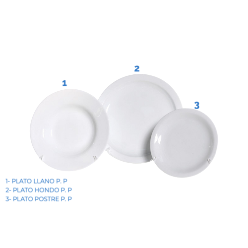 DINNER PLATE P. P