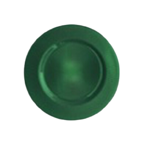 CHARGER PLATE SUNRAY GREEN